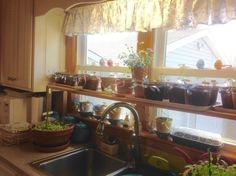 a kitchen sink filled with lots of plants