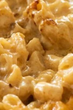 closeup of macaroni and cheese with meat