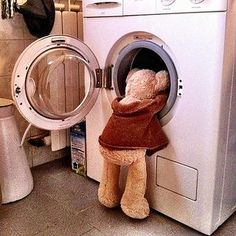 a teddy bear sitting in front of a washer next to a dryer with the door open