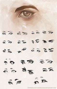 an eye chart with different types of eyes and their corresponding features are shown in this image