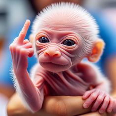 a close up of a person holding a fake baby monkey in their hand and pointing to it's left side