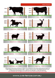 the different types of cows and goats are shown in this diagram, which shows how they can