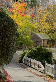 a path leading to a house in the woods with autumn foliage on either side and trees lining both sides