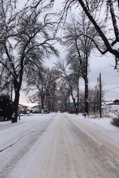 a snow covered road with trees and houses in the background