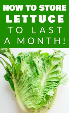 lettuce with the words how to store lettuce to last a month