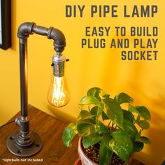 a potted plant sitting on top of a wooden table next to a light bulb