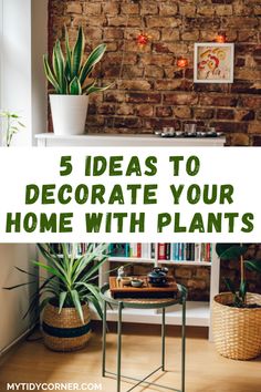 Houseplants in a room and text overlay about tips on how to decorate with plants. Decorate With Plants Indoors, Decorating With Plants Indoors, Indoor Plant Decor Ideas, Decorate With Plants, Home With Plants, Decorating With Plants, Homemade Frames, Heart Leaf Philodendron, Plant Arrangements