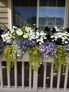 a window box filled with white and purple flowers