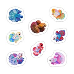 six different colored fish stickers on a white background