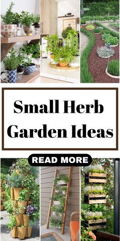 small herb garden ideas that are easy to grow