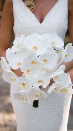 a bride holding a bouquet of white orchids