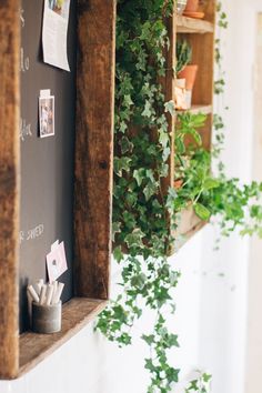 some green plants are growing on the wall and hanging from wooden shelves in front of a chalkboard