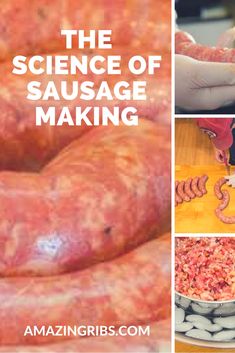 the science of sausage making with pictures of different types of sausages and ingredients to make them