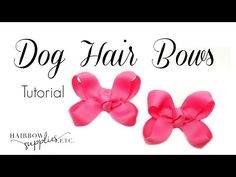 How To Put A Bow In A Dogs Hair, Puppy Bows Diy, Bows For Dogs Ears, How To Make Ribbon Hair Bows