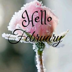 a pink flower with the words hello february written in frost on it's petals