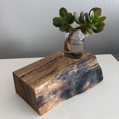 a vase with some plants in it sitting on a wooden block that has been placed on a table