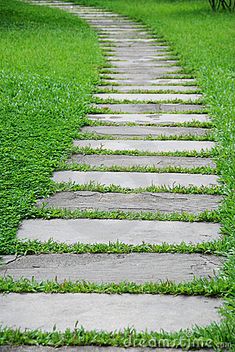 a stone path in the middle of grass