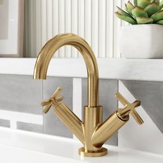 a gold faucet with cross handles on a white countertop next to a succulent plant