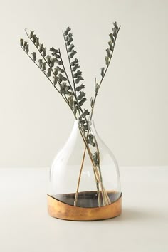 a glass vase with some plants in it