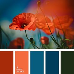 an orange and blue color scheme with flowers