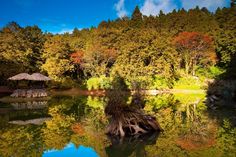 a lake surrounded by trees with umbrellas in the middle and blue sky above it