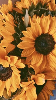 a vase filled with lots of yellow sunflowers