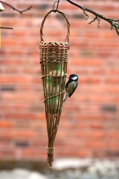 a bird sitting on top of a wooden cage hanging from a tree next to a brick wall