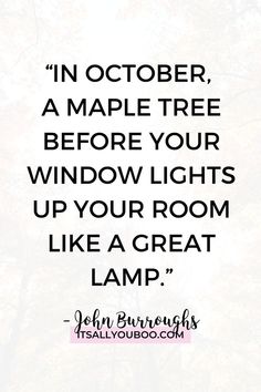 the quote in october, a maple tree before your window lights up your room like a great lamp