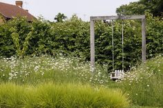 an empty swing in the middle of a field