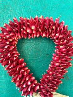 a heart shaped wreath with red flowers hanging on a turquoise green wall in front of a blue door