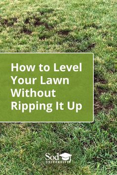 a lawn with the words how to level your lawn without ripping it up on it