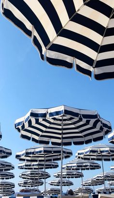 many black and white striped umbrellas on the beach