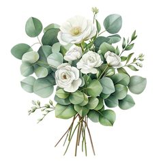 a bouquet of white flowers and green leaves on a white background, watercolor painting