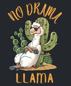 a llama sitting in front of a cactus with the words no drama lamaa