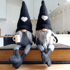 two stuffed gnomes sitting on top of a book