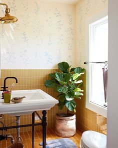 a bathroom with a toilet, sink and potted plant