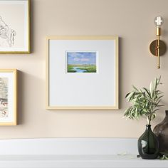 three framed pictures hang on the wall next to a vase with a plant in it