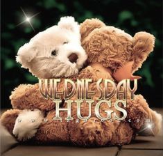 a teddy bear hugging another stuffed animal with the words wednesday hugs on it