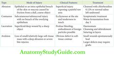 Oral Soft Tissue Injuries Notes - Anatomy Study Guide Soft Tissue Injury, Salivary Gland, Emergency Care, Sharp Objects, Anatomy Study, Deep Tissue, Blood Vessels, Study Guide