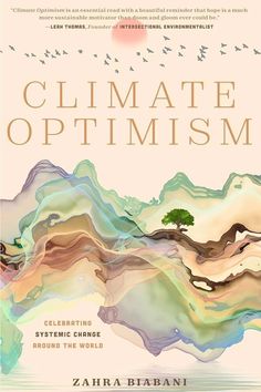 the book cover for climate optimism