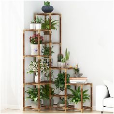 a room with some plants on the shelves