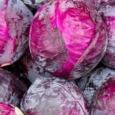 purple cabbages are piled up in a pile