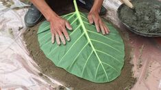 a man is making a large leaf out of clay and sand with his hands on the ground