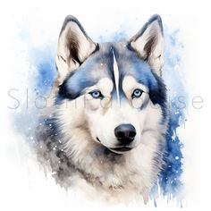 a watercolor painting of a husky dog's face with blue eyes and ears