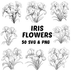 iris flowers in black and white with the words iris flowers 50 svg & png