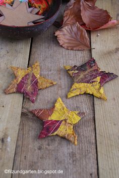 autumn leaves are arranged on the ground next to a bowl and potted planter