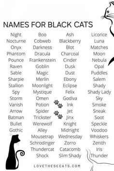 the names for black cats are shown in this poster, which shows different types of cats