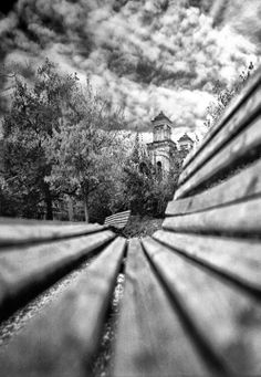 black and white photograph of wooden benches in front of trees with cloudy sky behind them