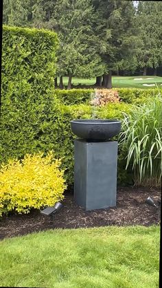 an outdoor fountain in the middle of a garden with bushes and trees behind it,