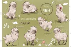 sheep in different poses and positions